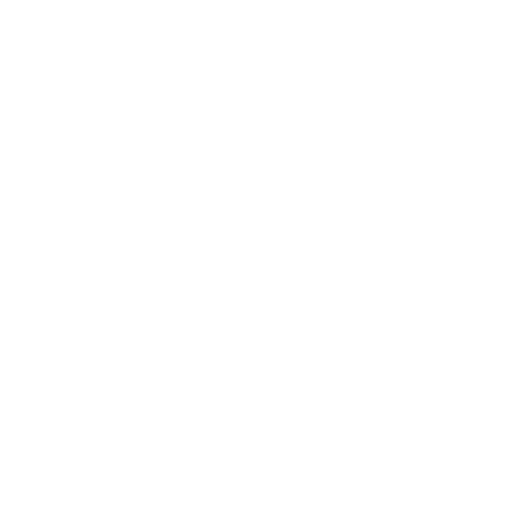 Safe Shield ProtectedTM Icon