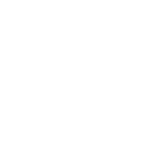 Perfect MatchTM Icon