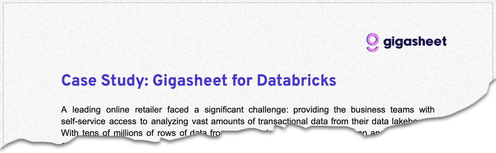 Case Study: Databricks for Business with Gigasheet