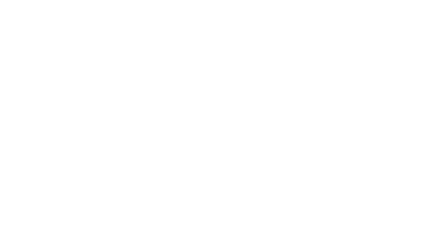 logo_kidvy