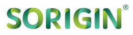 Sorigin Logo
