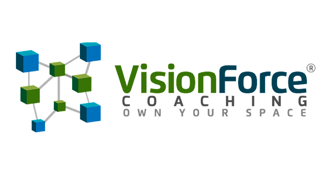 Vision Force Coaching