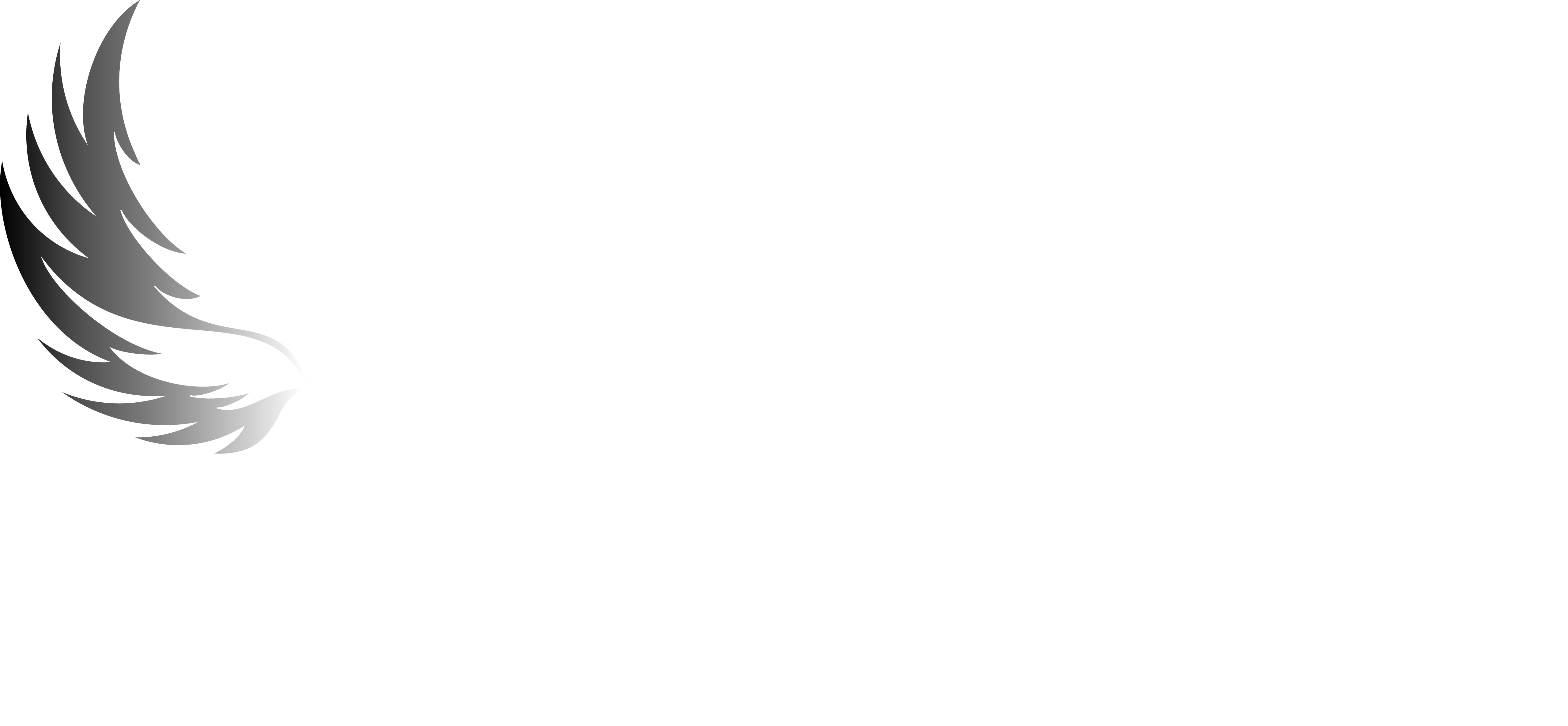 Renegade Virtual Trades Logo - White