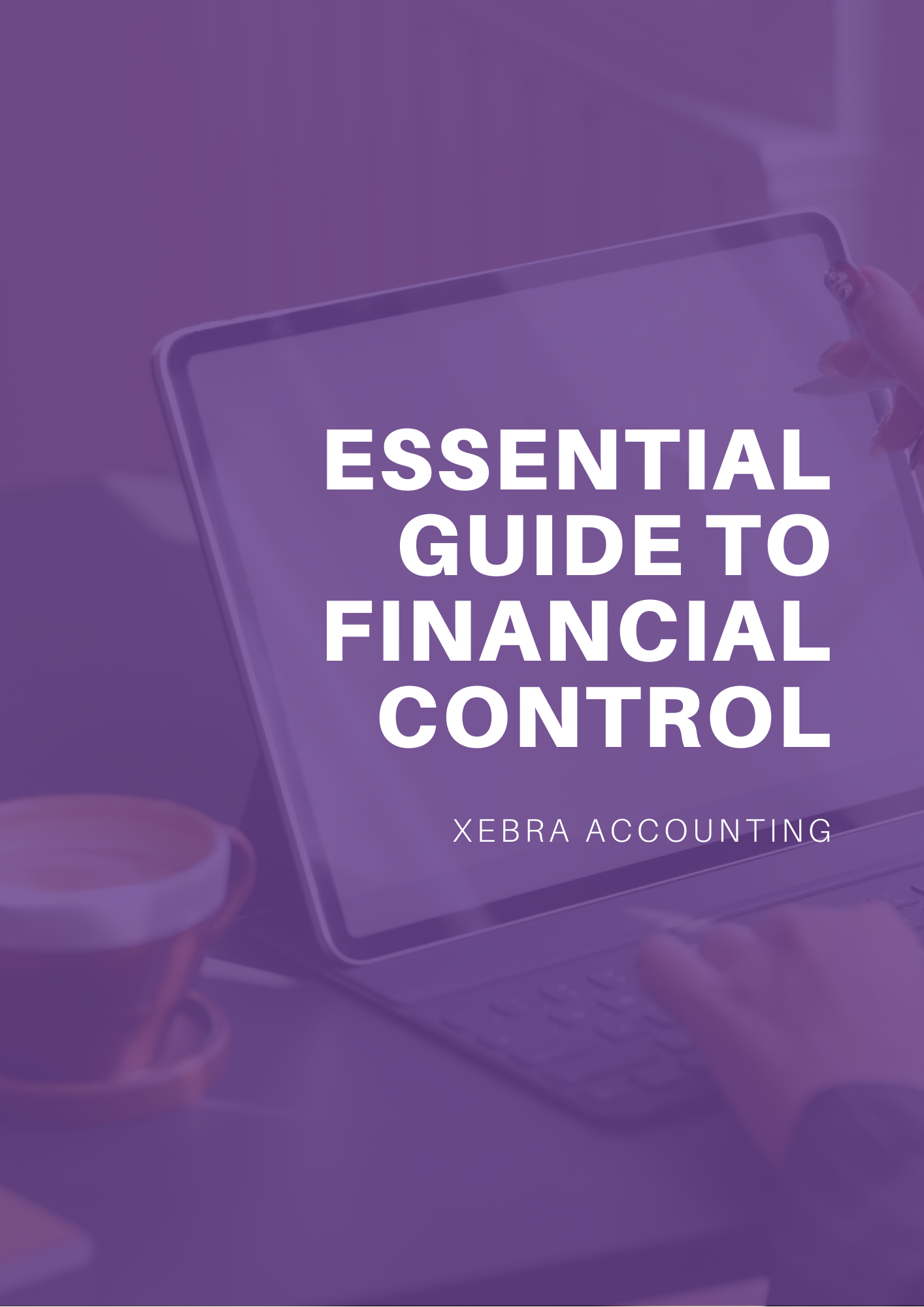 The Essential Guide to Financial Control
