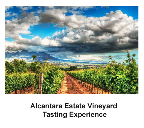Alcantara Estate Vineyard Tasting Experience