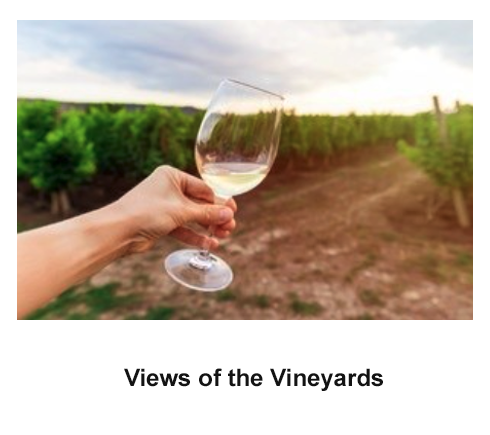 Views of the Vineyards