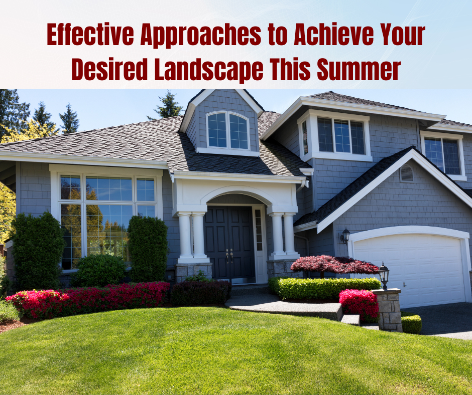 Effective Approaches to Achieve Your Desired Landscape This Summer