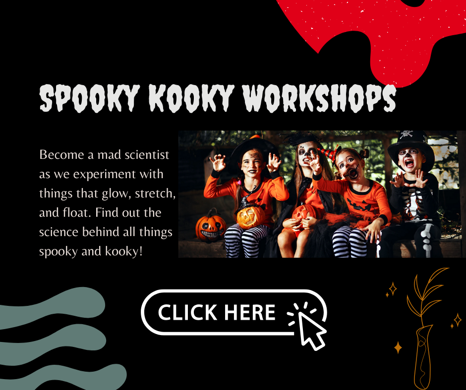 Spooky Kooky Workshops