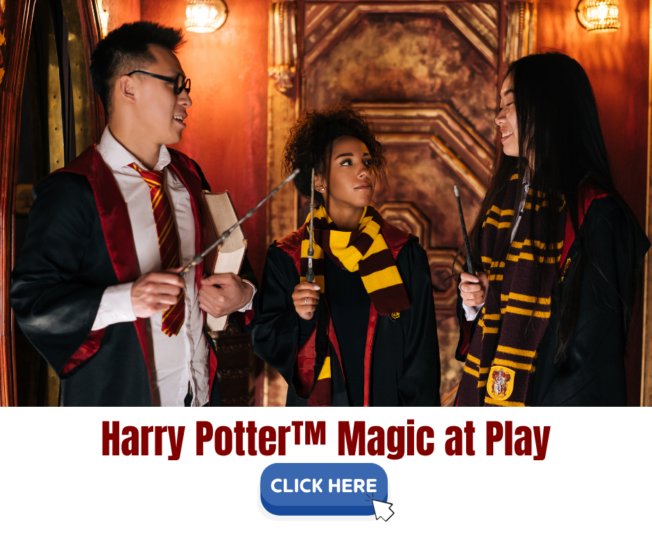 Harry Potter™ Magic at Play