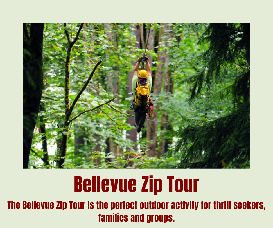 Bellevue Zip Tour