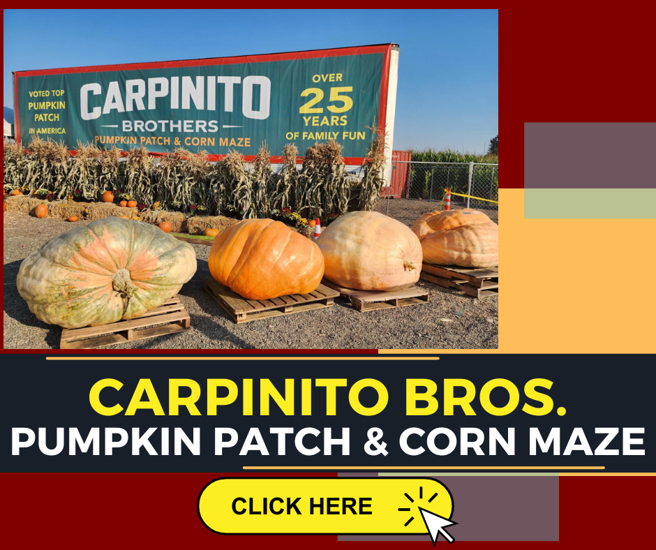 Carpinito Bros. Pumpkin Patch & Corn Maze