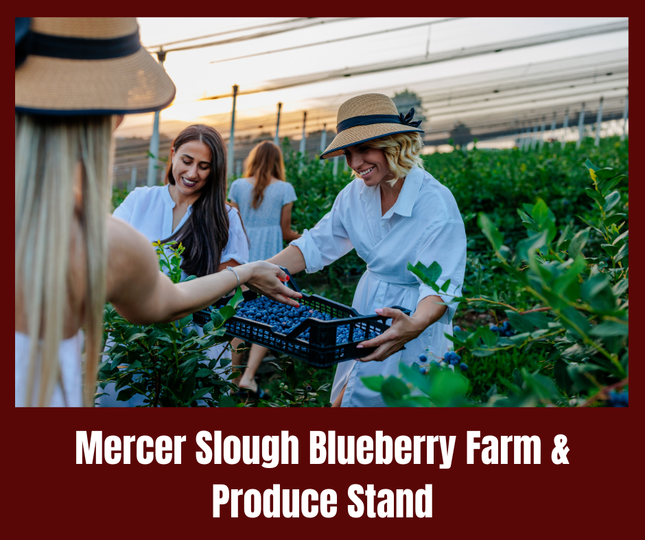 Mercer Slough Blueberry Farm & Produce Stand