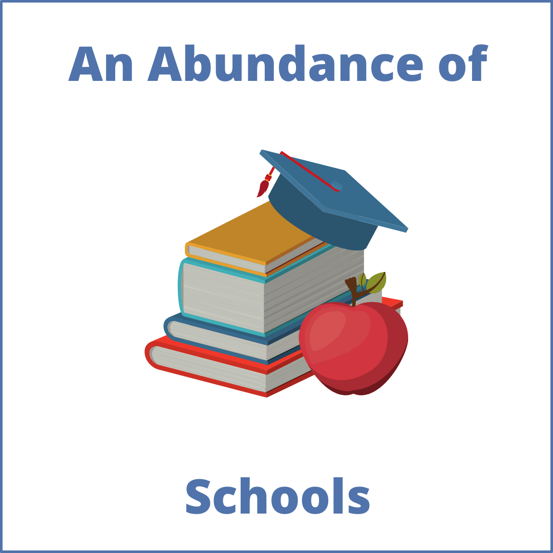 An abundance of schools in King City