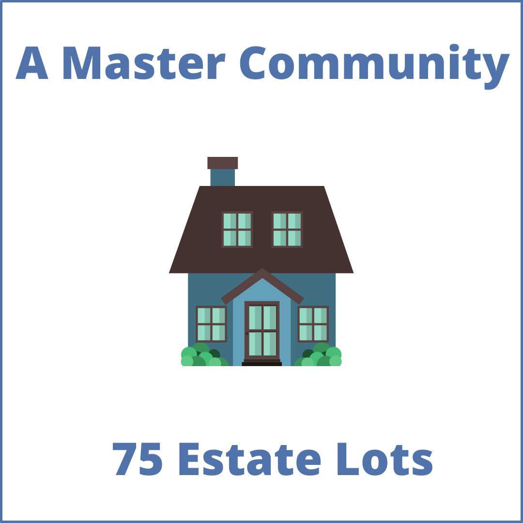 Master Community in King City