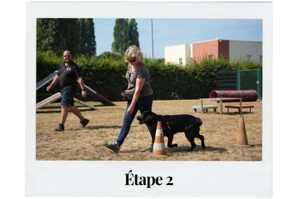 Un élève chien guide en formation