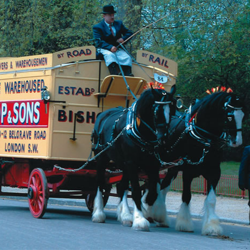 Over 165 years of experience