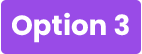 Option 3
