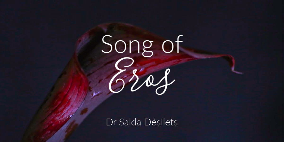 Song of Eros Image on Black Calla Lily
